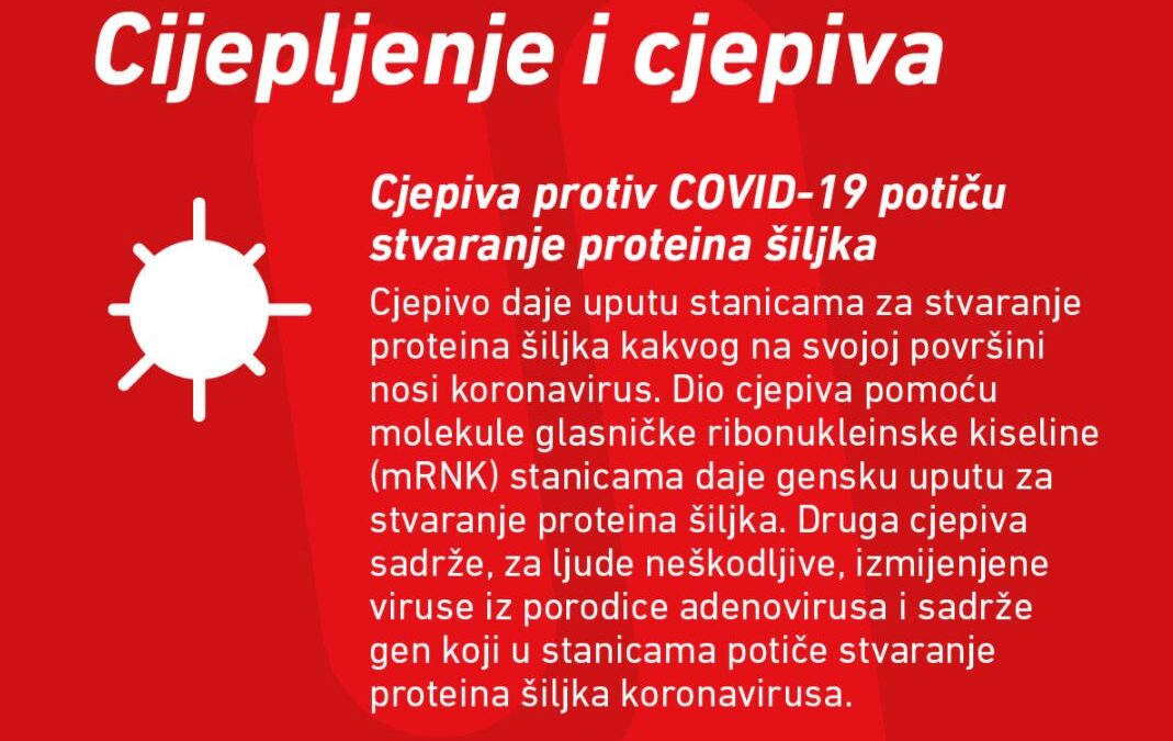 Cijepljenje i cjepiva